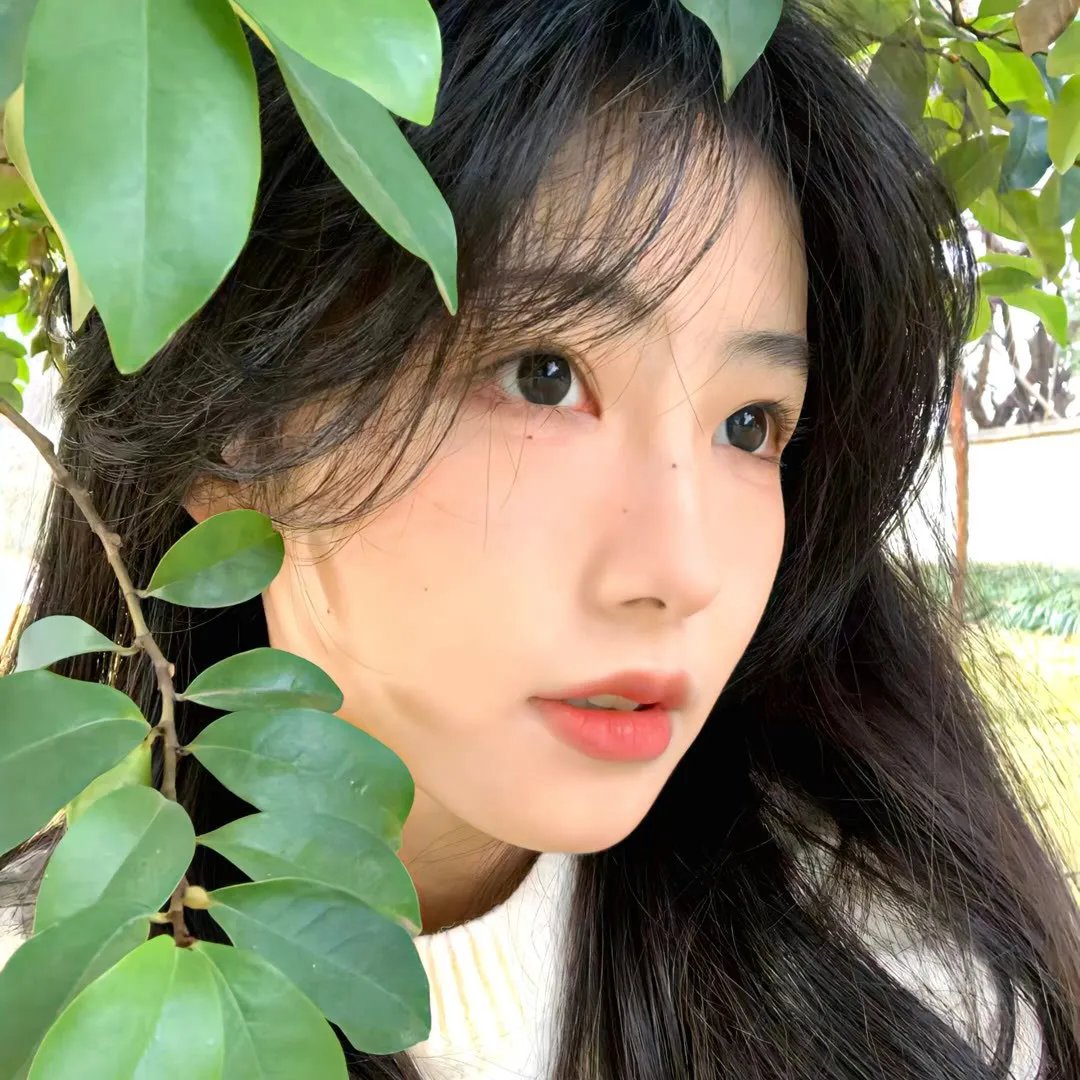 美人记·昭君